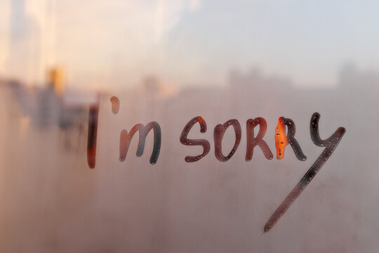 I Am Sorry